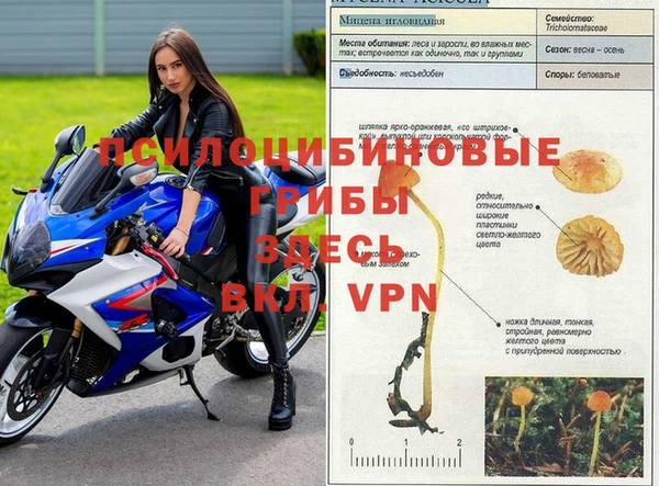 меф Белоозёрский